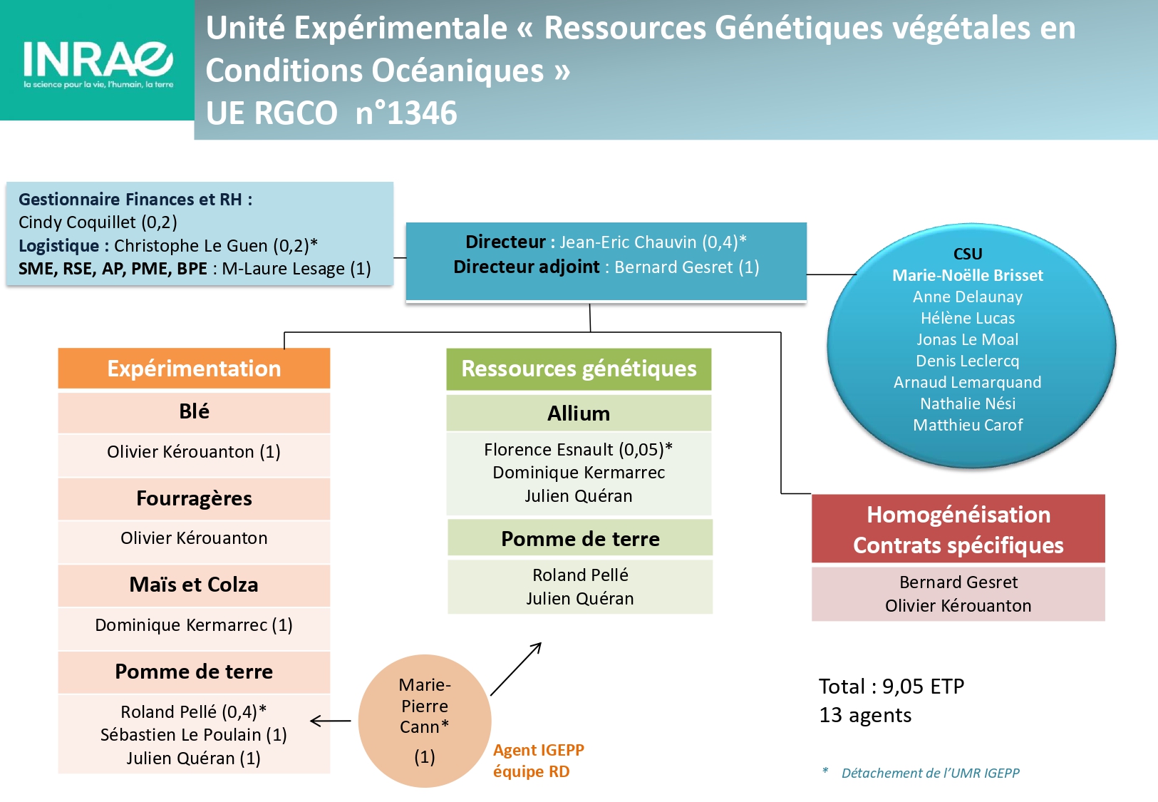organigramme UE RGCO