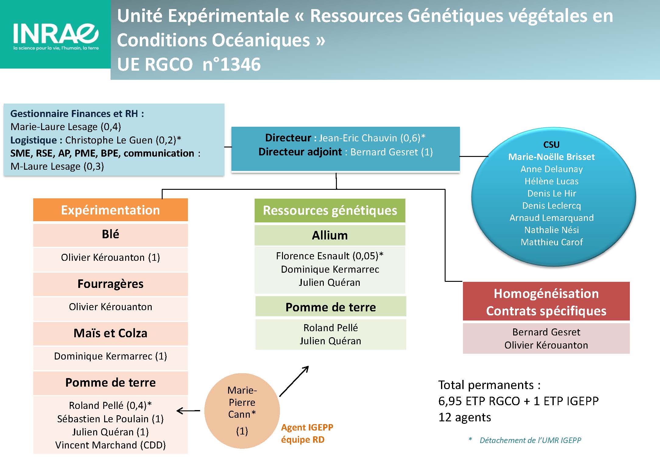 organigramme UE RGCO