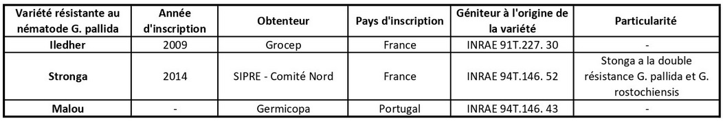 variétes de pomme de terre _GP