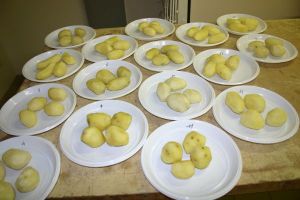 test culinaire